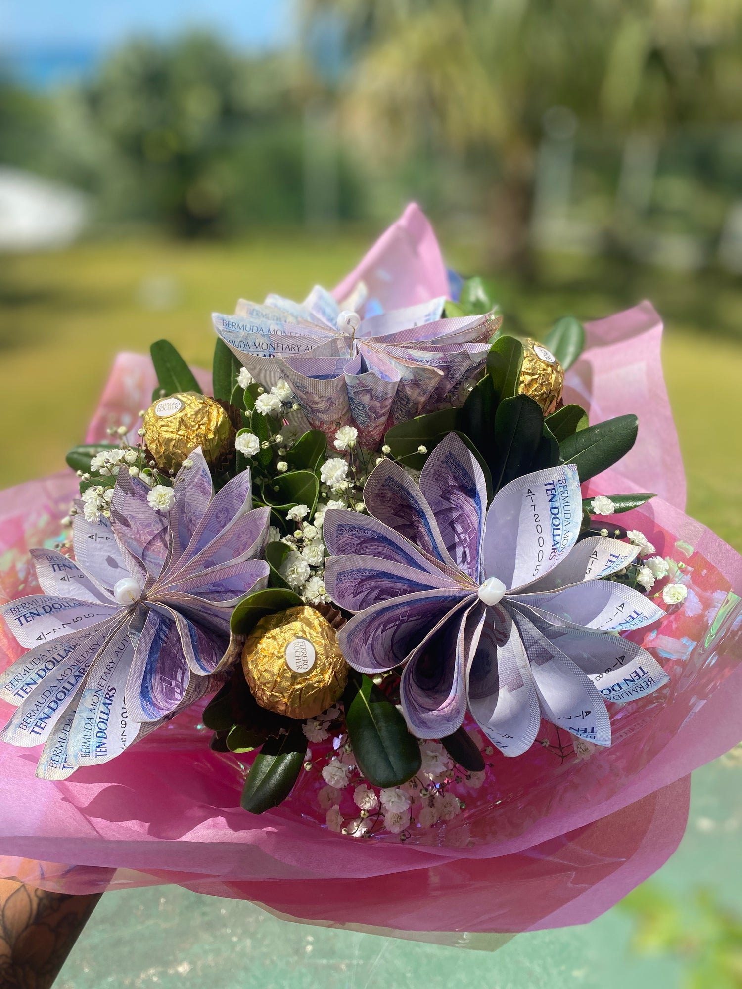 Money Flower Collection