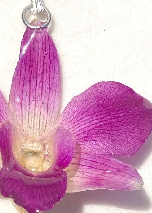 The Pearl Collection ✨