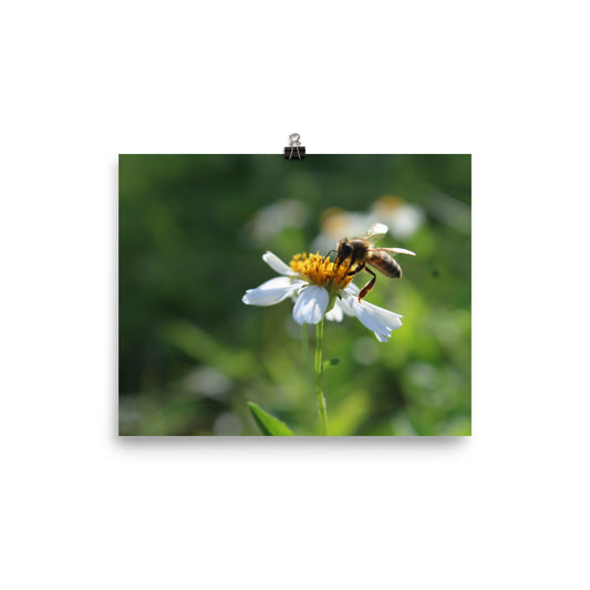 “Hard Work Pays Off” Print