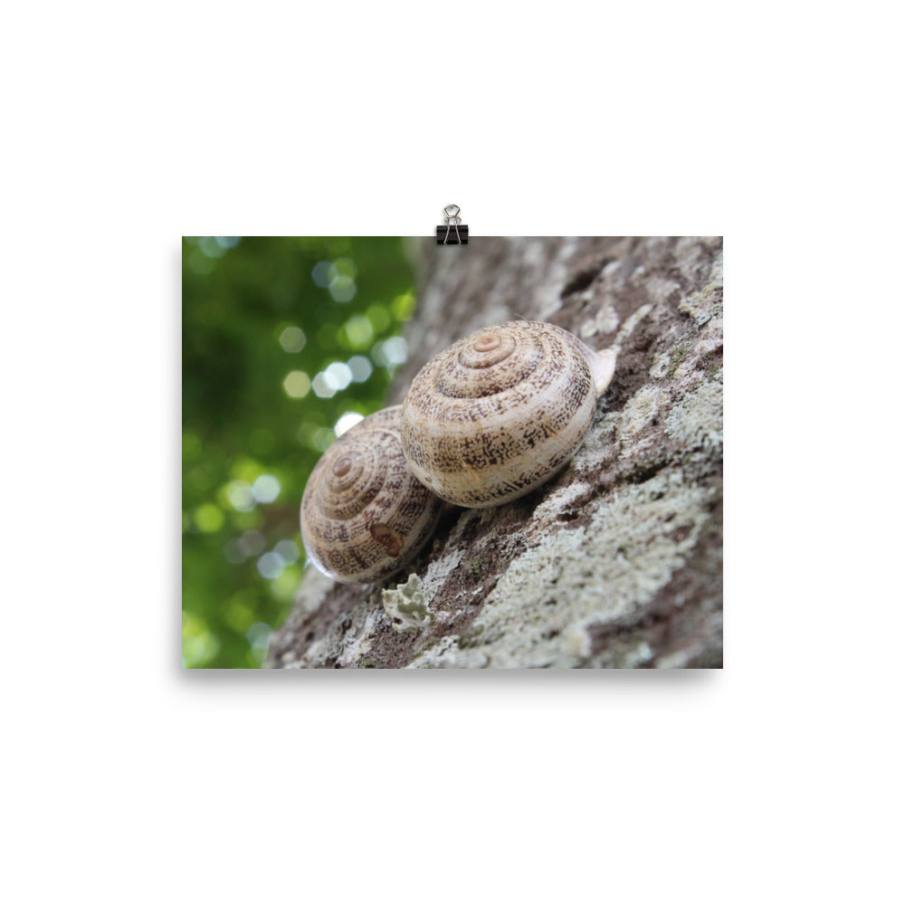 “To Infinty” Print