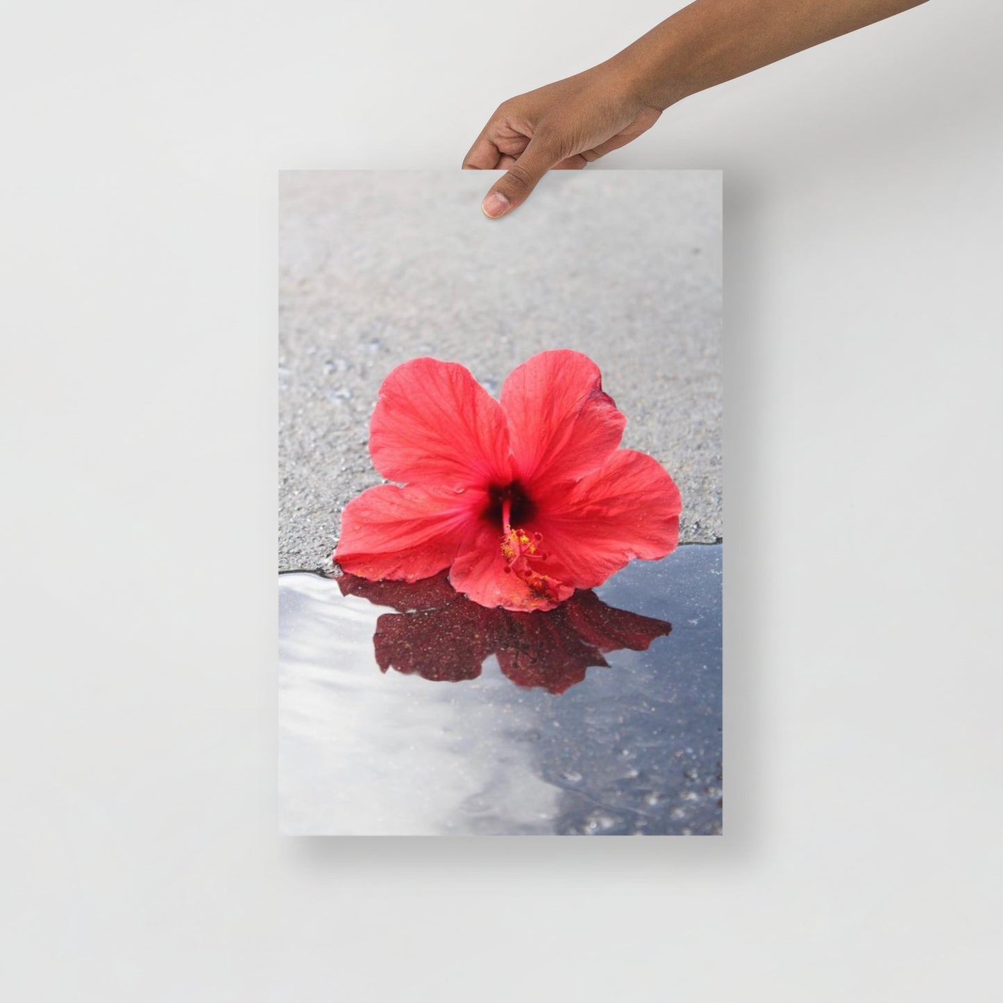 “Hibiscus Kiss” Print