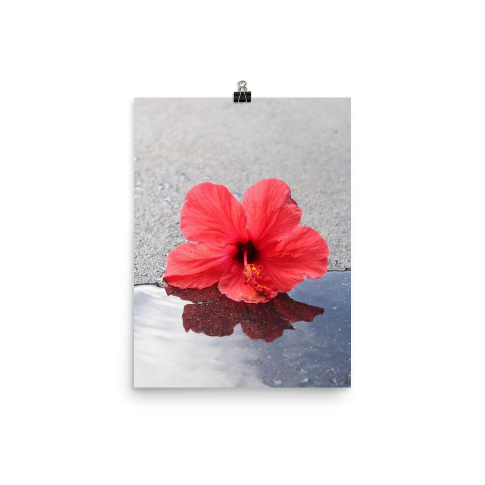“Hibiscus Kiss” Print