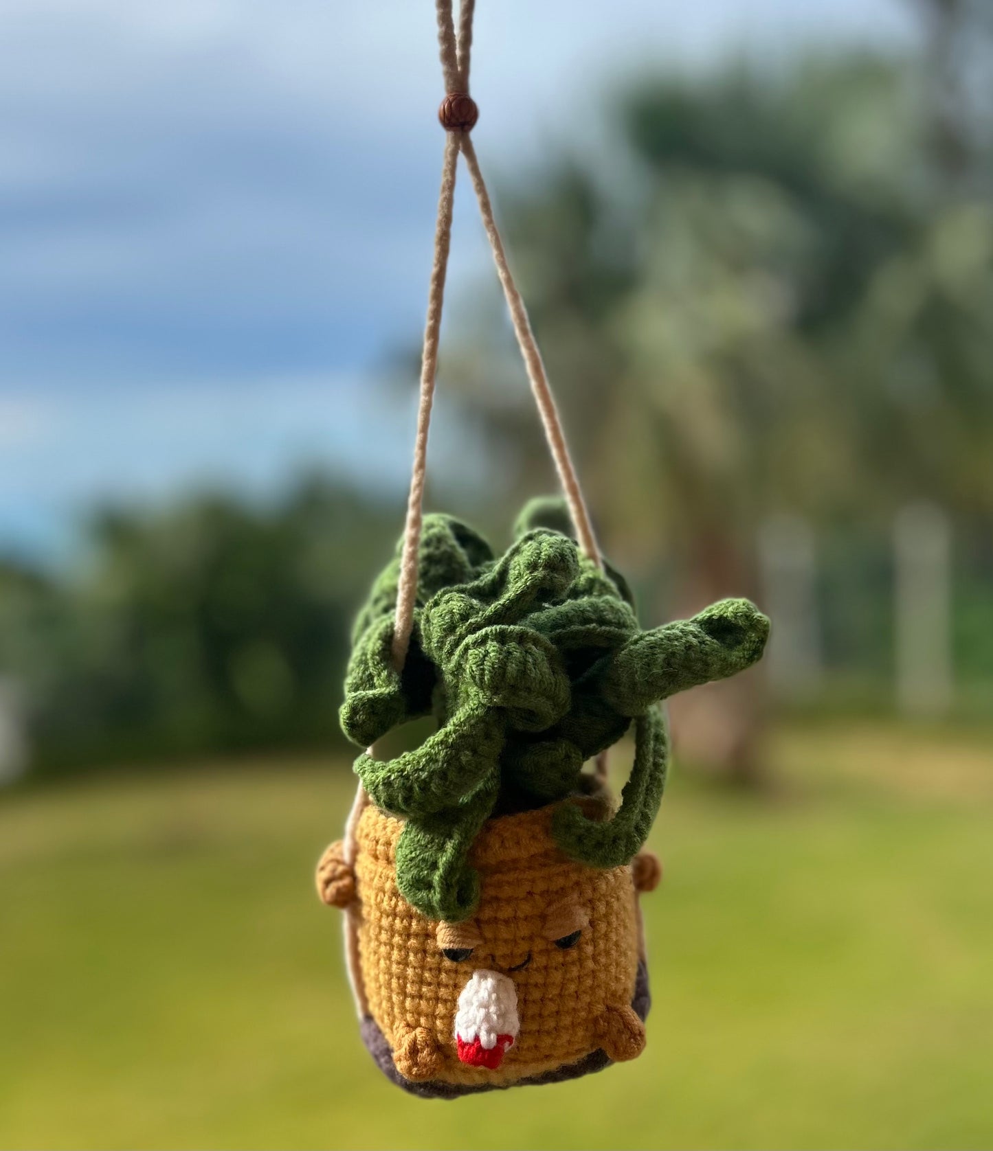 Pot Head Crochet Hanger